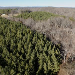 Photo #3 of Off of Dillards Hill Road, Union Hall, VA 37.7 acres