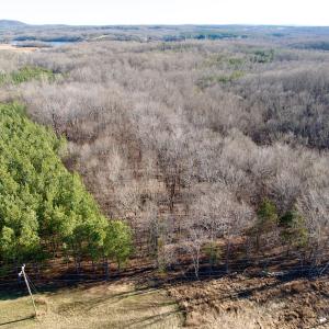 Photo #5 of Off of Dillards Hill Road, Union Hall, VA 37.7 acres