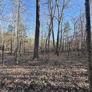 Photo #6 of Off of Dillards Hill Road, Union Hall, VA 37.7 acres