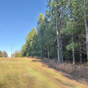 Photo #7 of Off of Dillards Hill Road, Union Hall, VA 37.7 acres