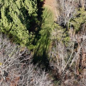 Photo #8 of Off of Dillards Hill Road, Union Hall, VA 37.7 acres