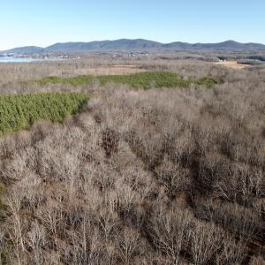 Photo #9 of Off of Dillards Hill Road, Union Hall, VA 37.7 acres