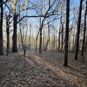 Photo #21 of Off of Dillards Hill Road, Union Hall, VA 37.7 acres