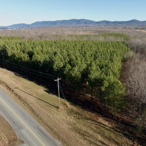 Photo #22 of Off of Dillards Hill Road, Union Hall, VA 37.7 acres