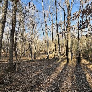 Photo #23 of Off of Dillards Hill Road, Union Hall, VA 37.7 acres