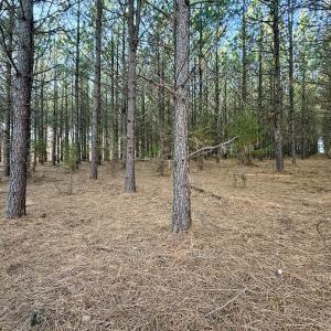 Photo #24 of Off of Dillards Hill Road, Union Hall, VA 37.7 acres