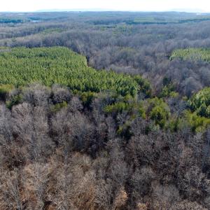 Photo #25 of Off of Dillards Hill Road, Union Hall, VA 37.7 acres