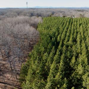 Photo #36 of Off of Dillards Hill Road, Union Hall, VA 37.7 acres