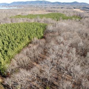 Photo #37 of Off of Dillards Hill Road, Union Hall, VA 37.7 acres