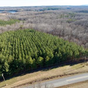 Photo #38 of Off of Dillards Hill Road, Union Hall, VA 37.7 acres