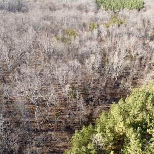 Photo #32 of Off of Dillards Hill Road, Union Hall, VA 37.7 acres