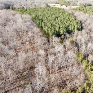 Photo #34 of Off of Dillards Hill Road, Union Hall, VA 37.7 acres