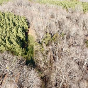 Photo #35 of Off of Dillards Hill Road, Union Hall, VA 37.7 acres