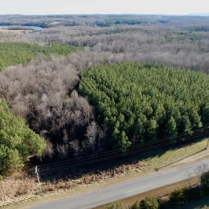 Photo #39 of Off of Dillards Hill Road, Union Hall, VA 37.7 acres