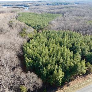 Photo #40 of Off of Dillards Hill Road, Union Hall, VA 37.7 acres