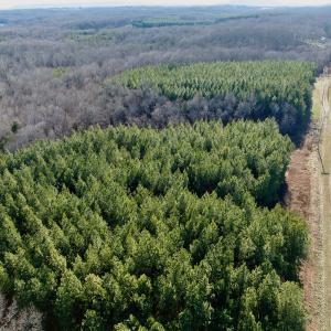 Photo #41 of Off of Dillards Hill Road, Union Hall, VA 37.7 acres