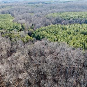 Photo #42 of Off of Dillards Hill Road, Union Hall, VA 37.7 acres