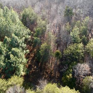 Photo #43 of Off of Dillards Hill Road, Union Hall, VA 37.7 acres