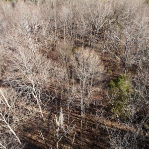 Photo #44 of Off of Dillards Hill Road, Union Hall, VA 37.7 acres