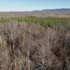 Photo #45 of Off of Dillards Hill Road, Union Hall, VA 37.7 acres