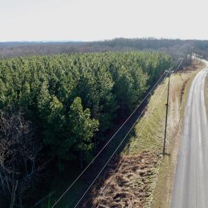 Photo #46 of Off of Dillards Hill Road, Union Hall, VA 37.7 acres