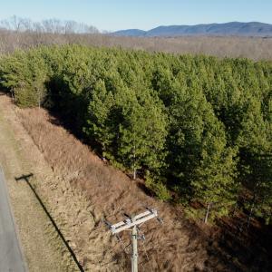 Photo #47 of Off of Dillards Hill Road, Union Hall, VA 37.7 acres