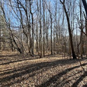 Photo #50 of Off of Dillards Hill Road, Union Hall, VA 37.7 acres