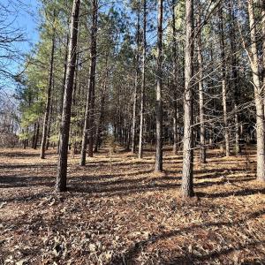 Photo #51 of Off of Dillards Hill Road, Union Hall, VA 37.7 acres