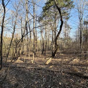 Photo #52 of Off of Dillards Hill Road, Union Hall, VA 37.7 acres
