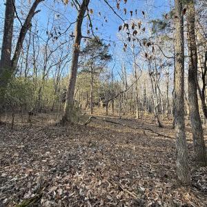 Photo #53 of Off of Dillards Hill Road, Union Hall, VA 37.7 acres