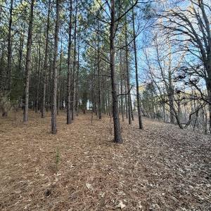 Photo #54 of Off of Dillards Hill Road, Union Hall, VA 37.7 acres