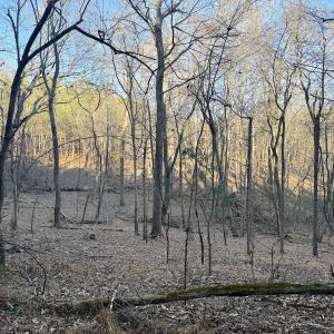 Photo #55 of Off of Dillards Hill Road, Union Hall, VA 37.7 acres