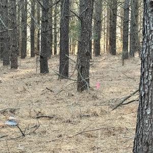 Photo #57 of Off of Dillards Hill Road, Union Hall, VA 37.7 acres