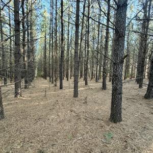 Photo #58 of Off of Dillards Hill Road, Union Hall, VA 37.7 acres