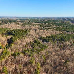 Photo #10 of Off Hwy 98, Spring Hope, NC 12.8 acres