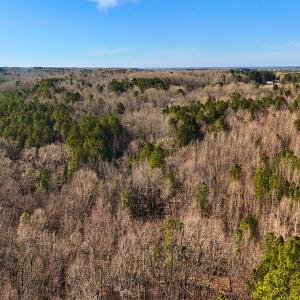 Photo #18 of Off Hwy 98, Spring Hope, NC 12.8 acres