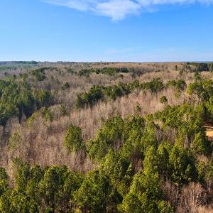 Photo #19 of Off Hwy 98, Spring Hope, NC 12.8 acres