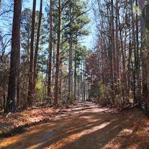 Photo #5 of Off Hwy 98, Spring Hope, NC 12.8 acres