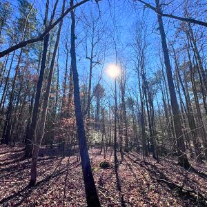 Photo #7 of Off Hwy 98, Spring Hope, NC 12.8 acres