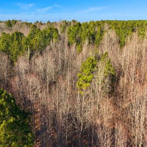 Photo #21 of Off Hwy 98, Spring Hope, NC 12.8 acres