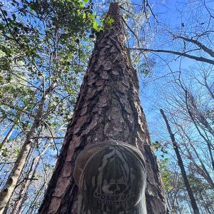 Photo #24 of Off Hwy 98, Spring Hope, NC 12.8 acres