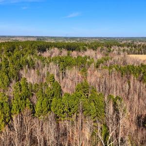 Photo #28 of Off Hwy 98, Spring Hope, NC 12.8 acres