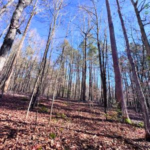 Photo #37 of Off Hwy 98, Spring Hope, NC 12.8 acres