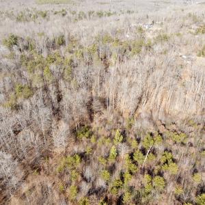 Photo #11 of off Salem Road, Schuyler, VA 4.8 acres