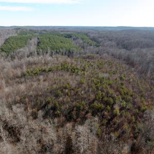 Photo #12 of off Salem Road, Schuyler, VA 4.8 acres