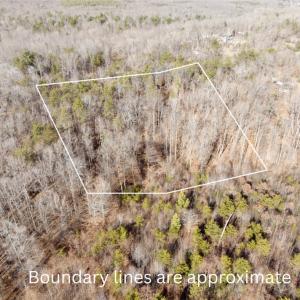 Photo #1 of off Salem Road, Schuyler, VA 4.8 acres