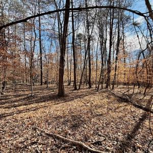 Photo #2 of off Salem Road, Schuyler, VA 4.8 acres