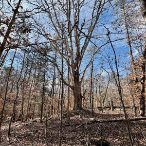 Photo #3 of off Salem Road, Schuyler, VA 4.8 acres