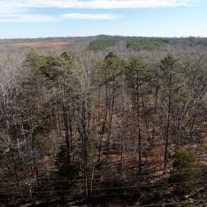 Photo #4 of off Salem Road, Schuyler, VA 4.8 acres
