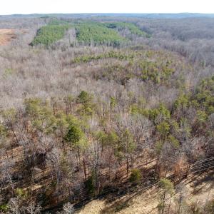 Photo #6 of off Salem Road, Schuyler, VA 4.8 acres